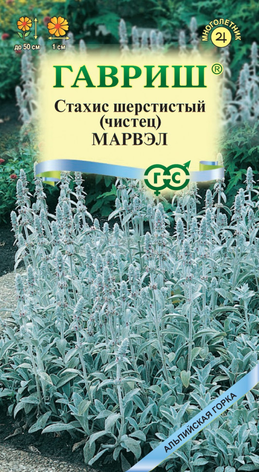 

Семена стахис Марвэл Гавриш 003771-10 10 уп.