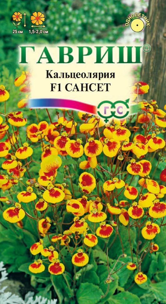 

Семена кальцеолярия Сансет F1 Гавриш 003591-5 5 уп.