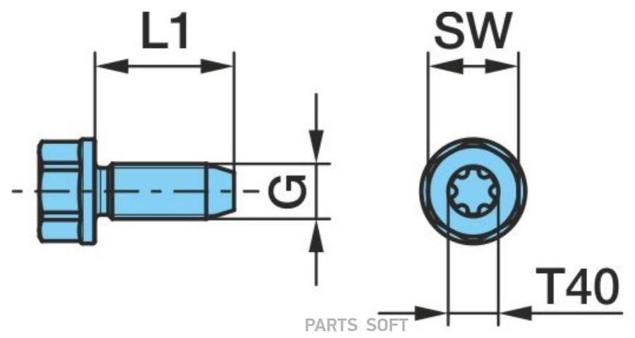 

Болт M8X20 Sw13 Torx Крышки Подшипника Торм.Вала Bpw