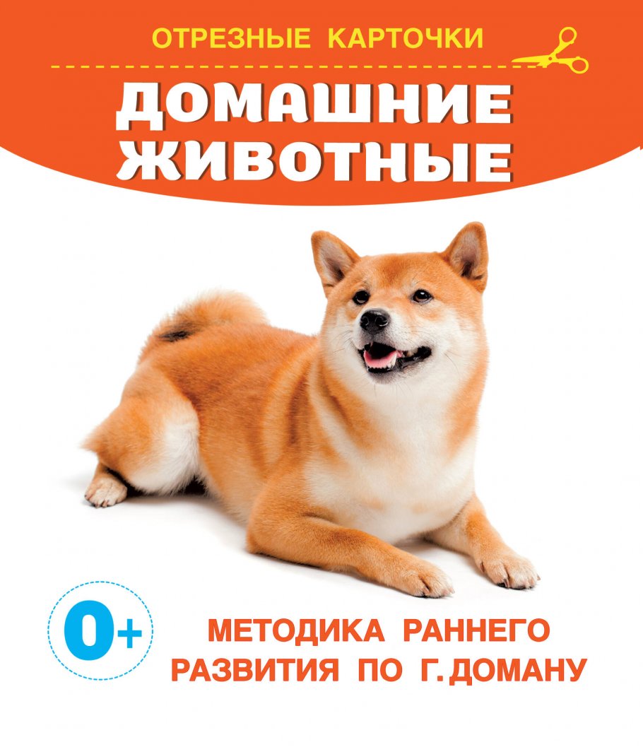 

Домашние животные