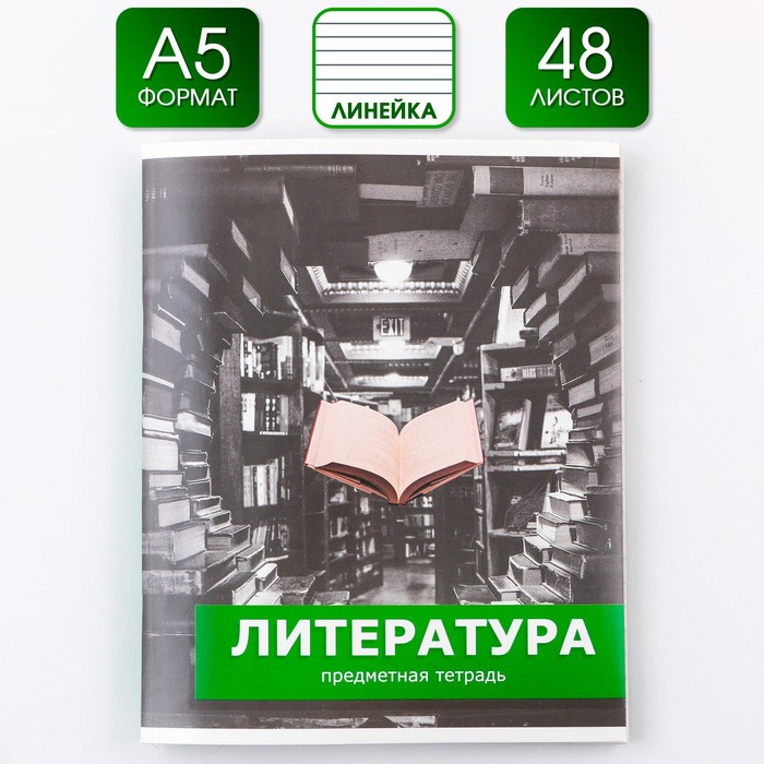 Предметная тетрадь ArtFox STUDY Предметы Литература 48 листов в линейку
