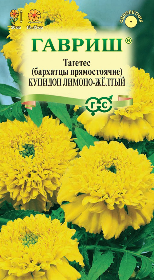 

Семена бархатцы Купидон лимонно-желтый Гавриш 4601445-10 10 уп.