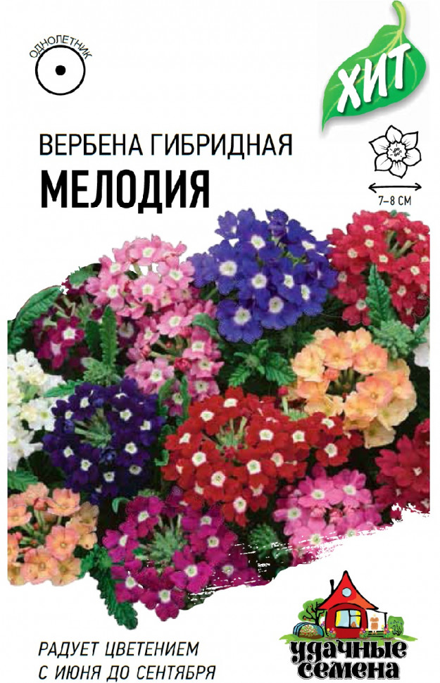 

Семена вербена Мелодия Удачные семена 1999949143-20 20 уп.