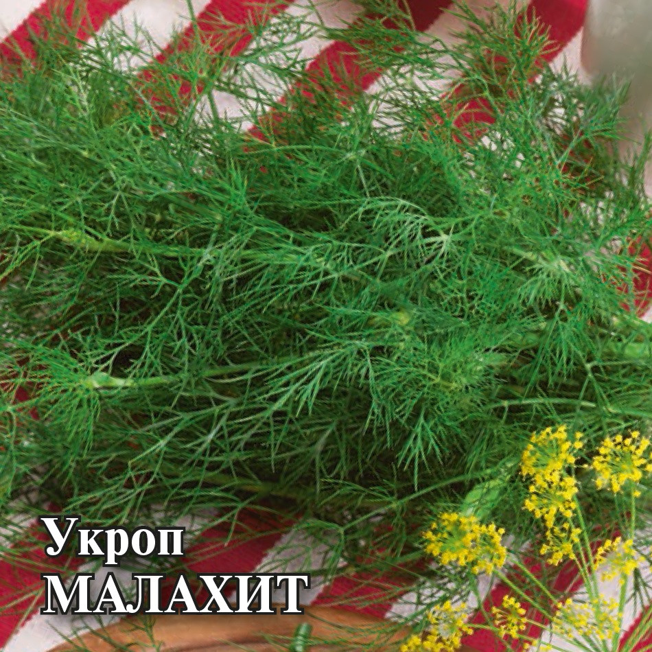 

Семена укроп Малахит Гавриш 1999947079-5 5 уп.