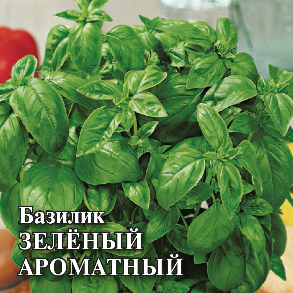 

Семена базилик Зеленый ароматный Гавриш 1999946301-10 10 уп.