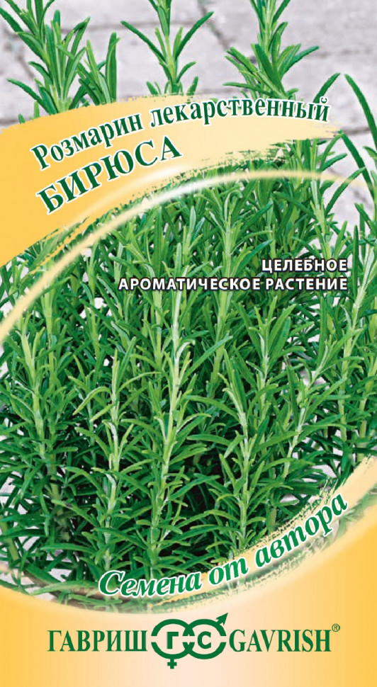 

Семена розмарин Бирюса Гавриш 1999945101-10 10 уп.