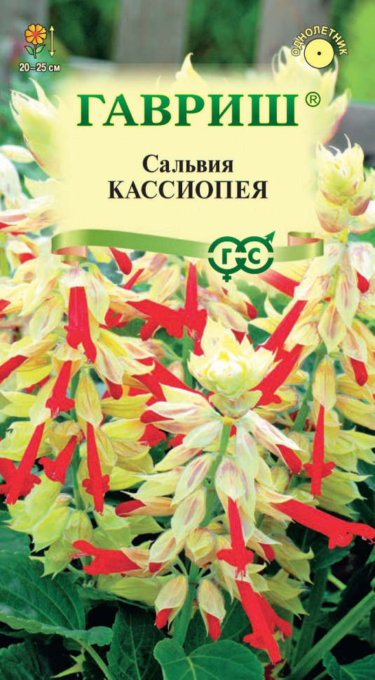 

Семена сальвия Кассиопея Гавриш 1071858221-10 10 уп.