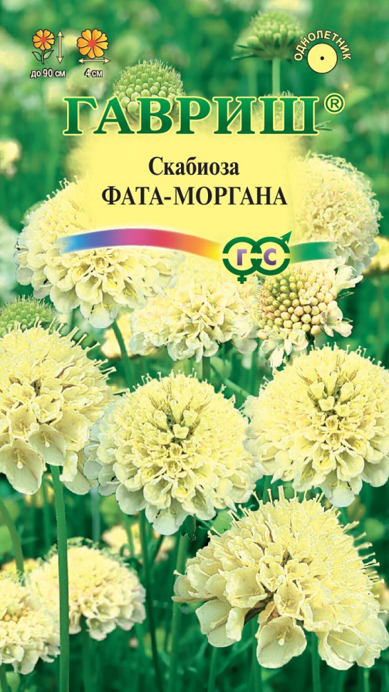 

Семена скабиоза Фата-моргана Гавриш 1071858196-10 10 уп.