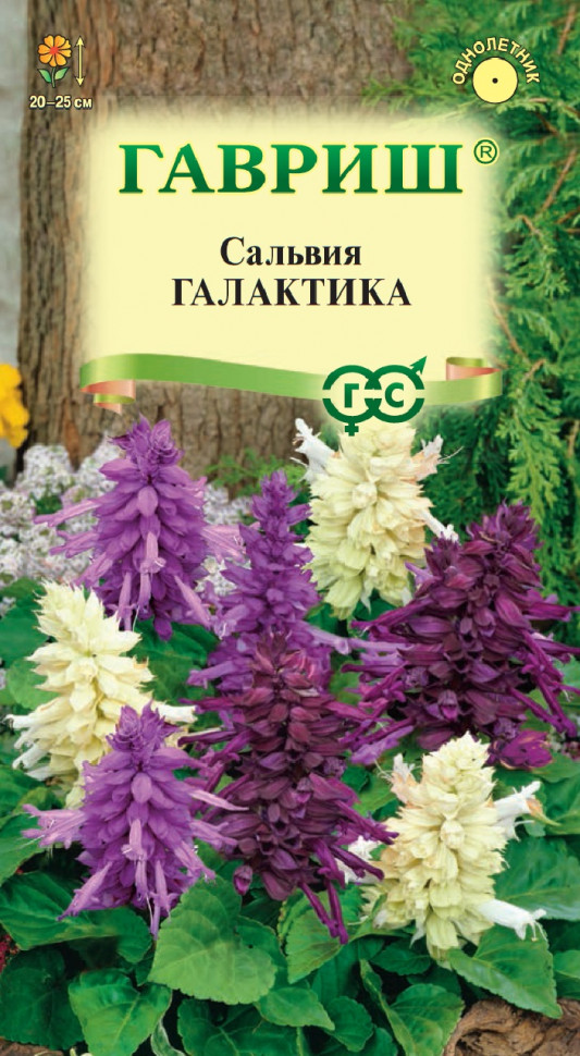 

Семена сальвия Галактика Гавриш 1071858175-10 10 уп.