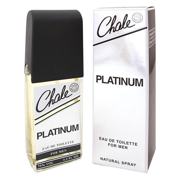 Туалетная вода мужская Charle Style Platinum edt 100 мл