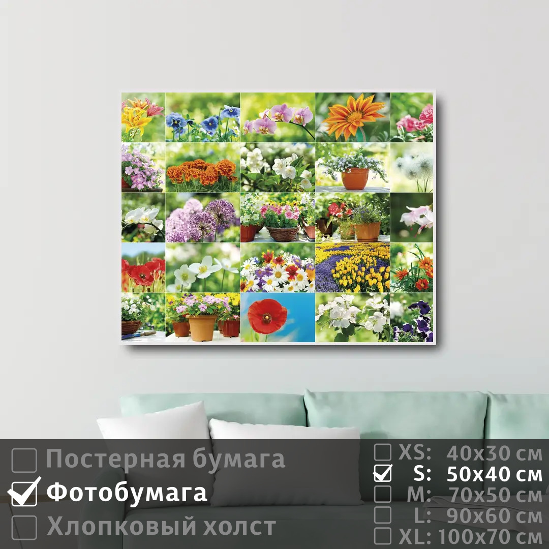 

Постер на фотобумаге ПолиЦентр Коллаж из красивых цветов 50х40 см, КоллажИзКрасивыхЦветов