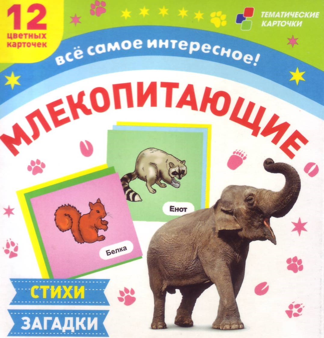 Обучающие карточки Учитель Млекопитающие. 12 развивающих карточек
