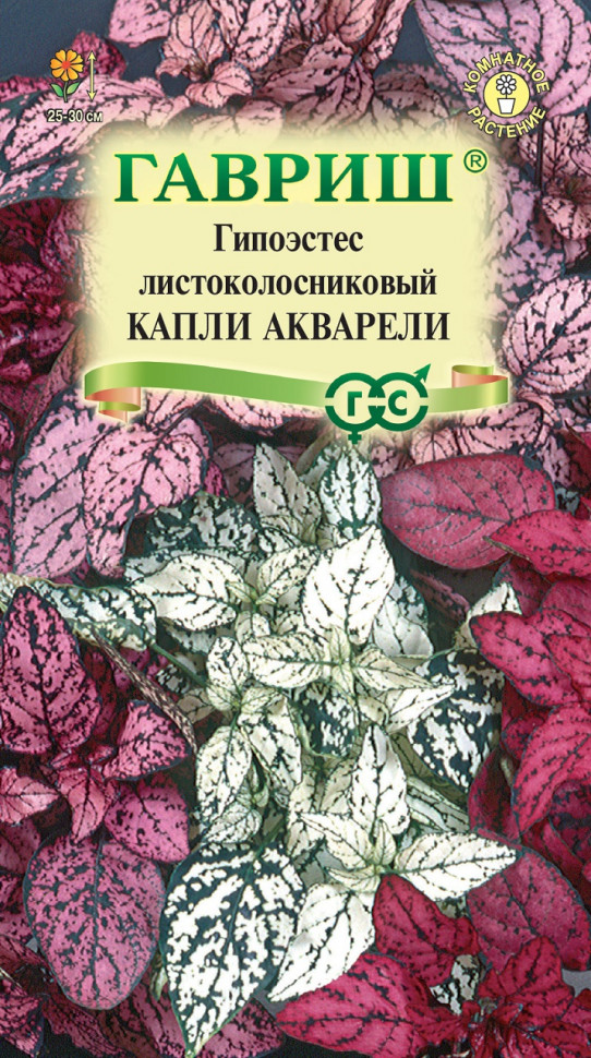 

Семена, Гавриш, Гипоэстес листоколосниковый Капли акварели, 10 упаковок по 4 семени