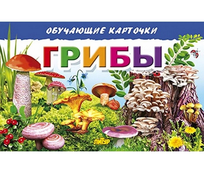 

Обучающие карточки. Грибы