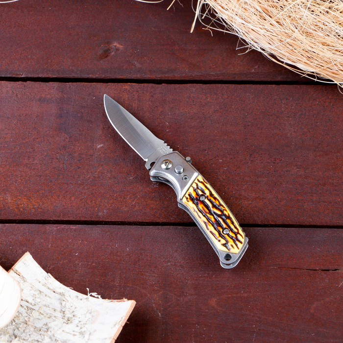 фото Нож складной полуавтоматический "пескарь", клинок 6см, слон. кость nobrand