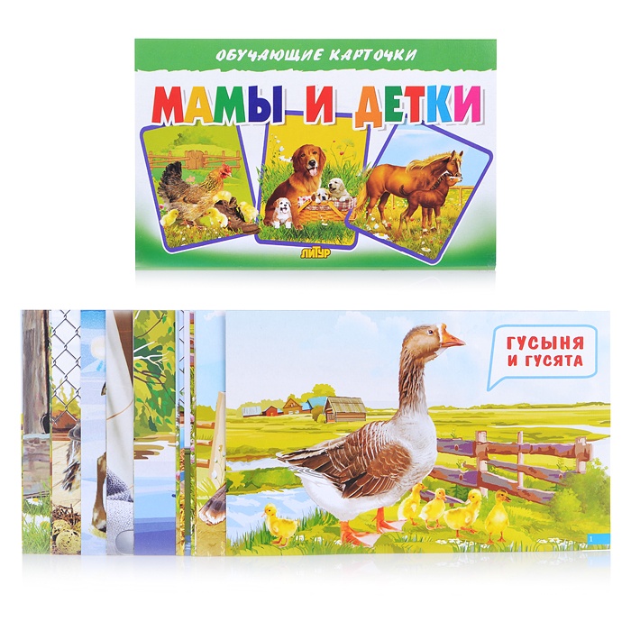 

Обучающие карточки. Мамы и детки