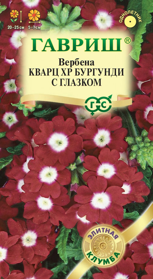 

Семена вербена Кварц XP Бургунди с глазком Гавриш 1071857134-10 10 уп.