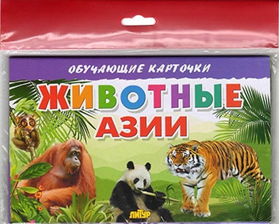 Обучающие карточки Литур Животные Азии