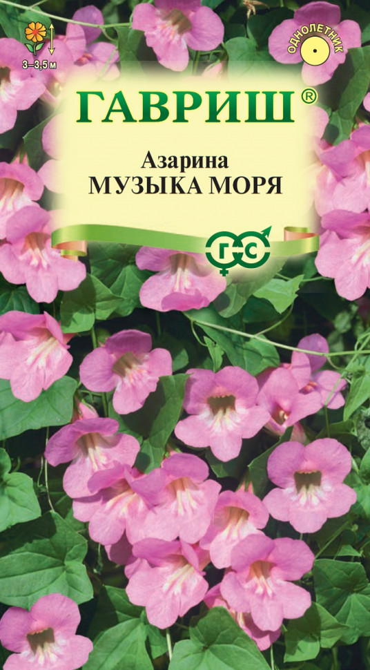 

Семена азарина Музыка моря Гавриш 1071856832-10 10 уп.