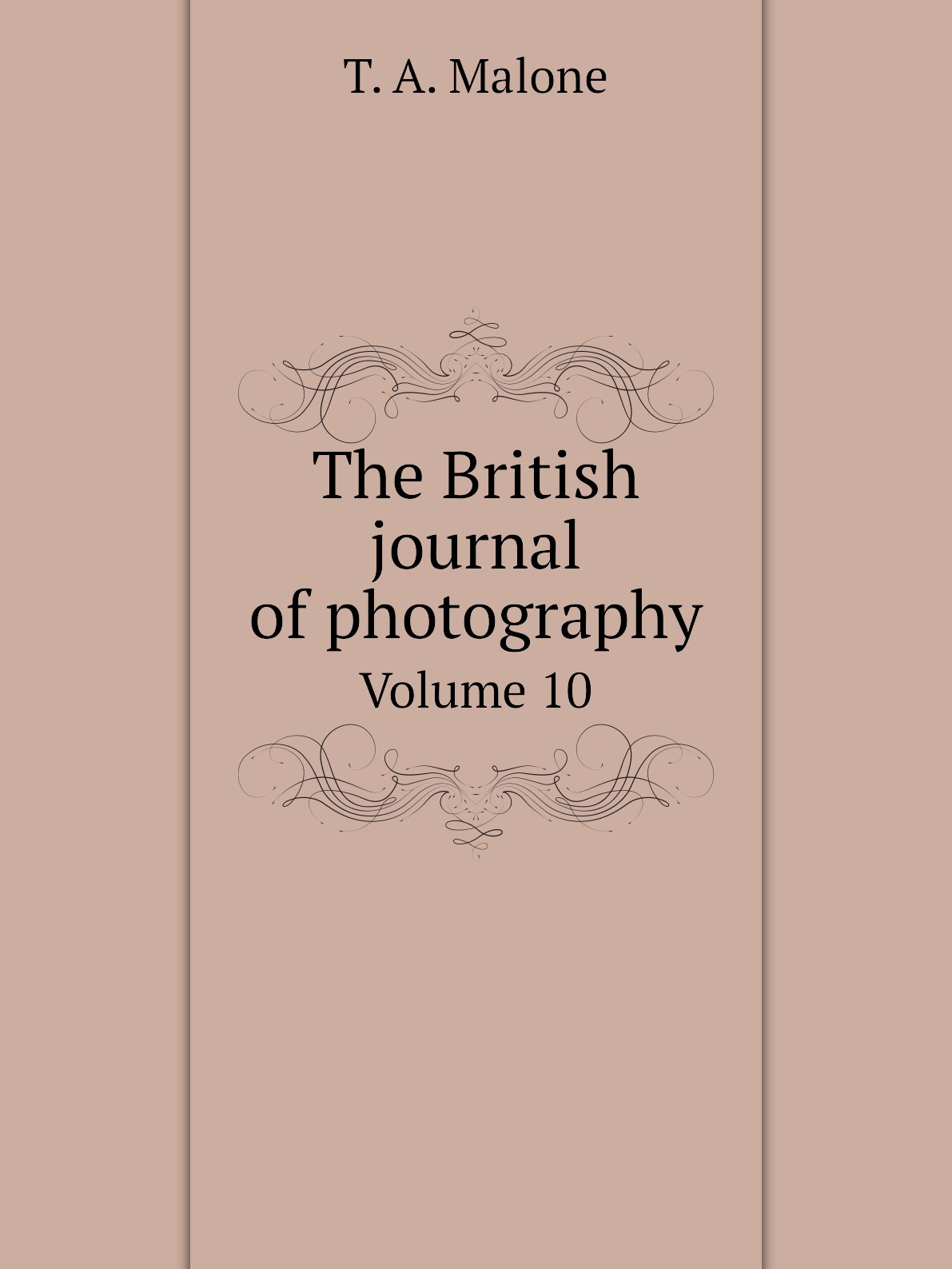 

The British journal of photography