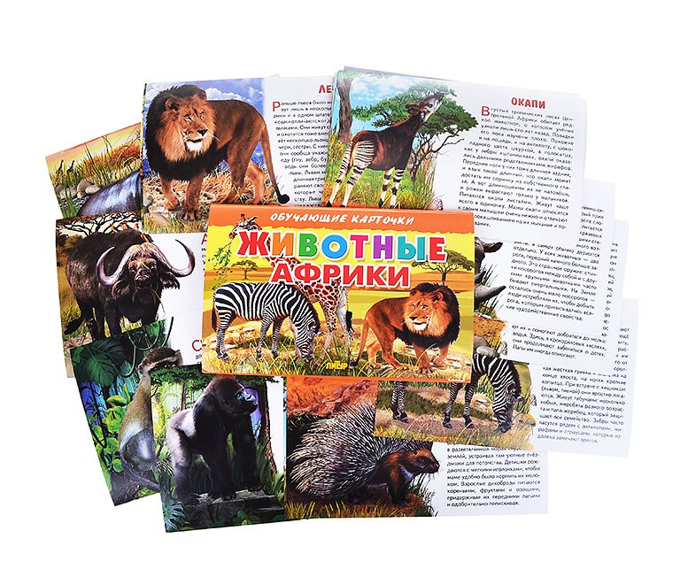Обучающие карточки Литур Животные Африки