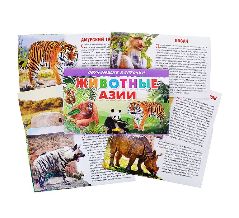 Обучающие карточки Литур Животные Азии