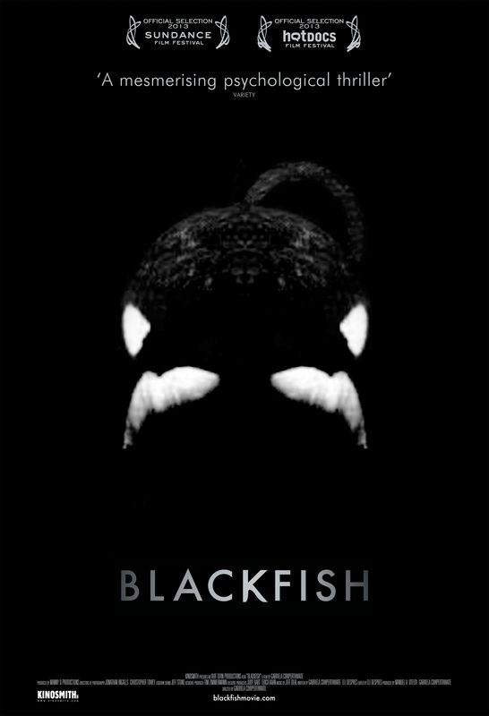 

Постер к фильму "Черный плавник" (Blackfish) 50x70 см