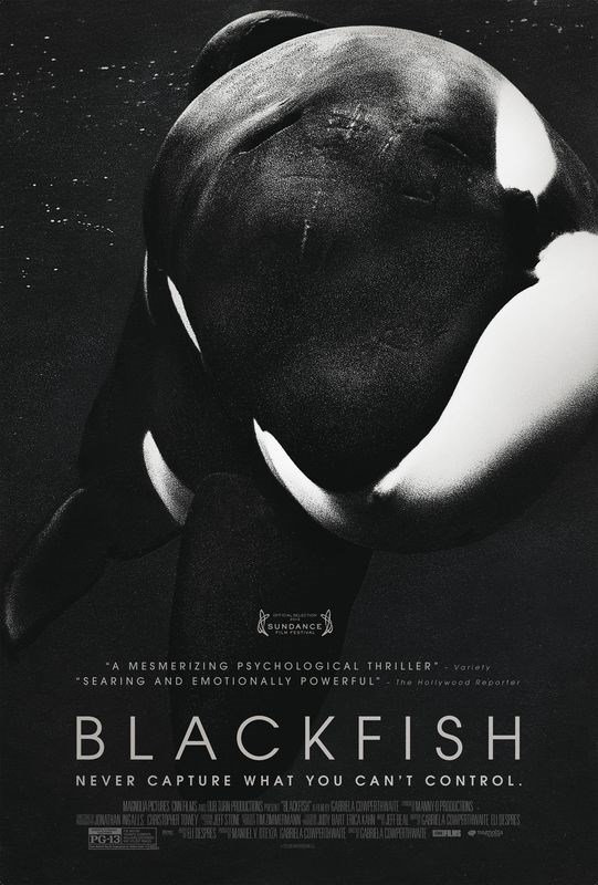 

Постер к фильму "Черный плавник" (Blackfish) A3