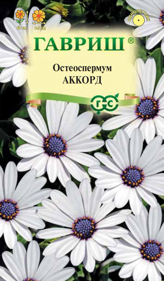 

Семена остеоспермум Аккорд Гавриш 10001714-10 10 уп.