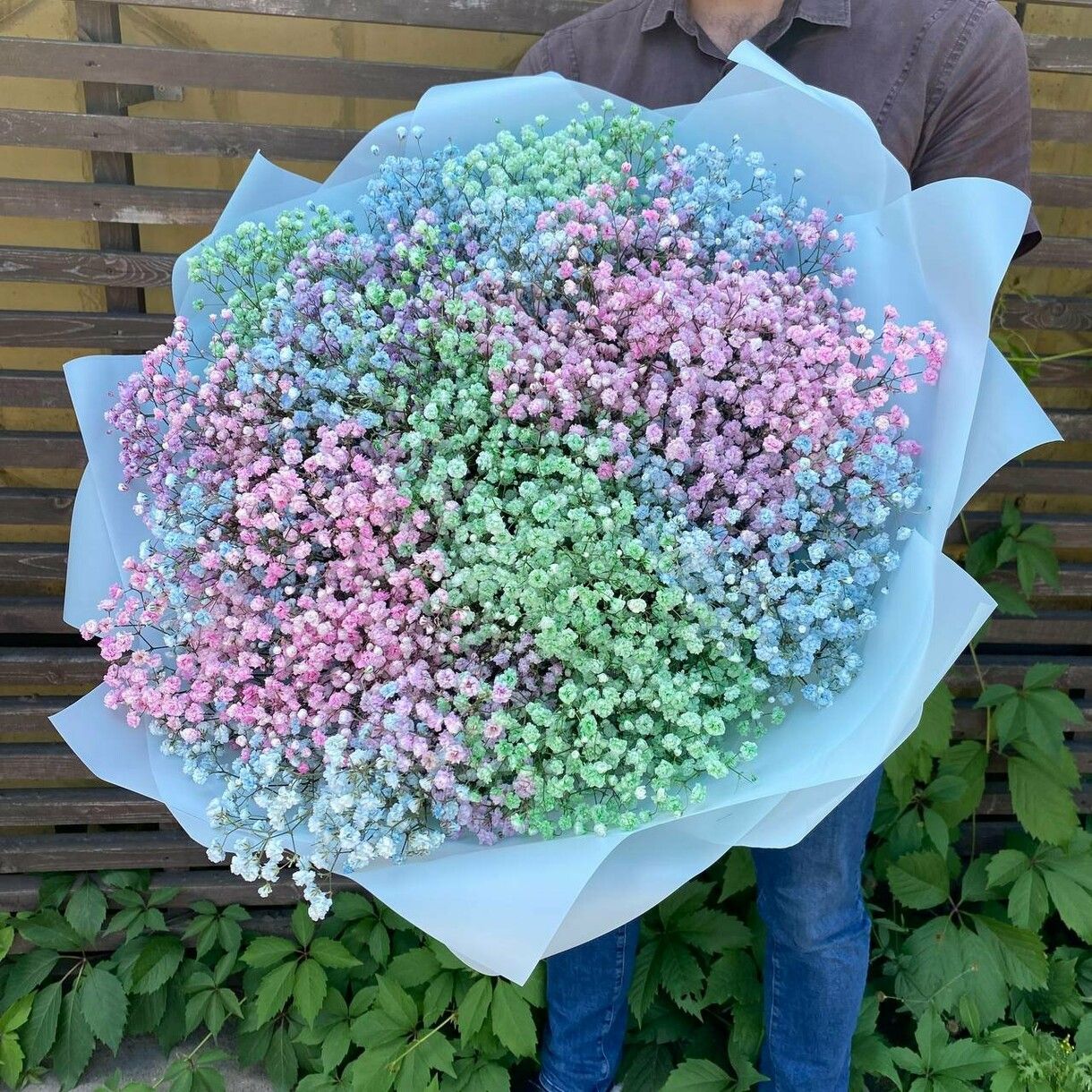

Монобукет Flawery гипсофила 40 см x 70 см 25 шт. разноцветный 1171564, Радуга