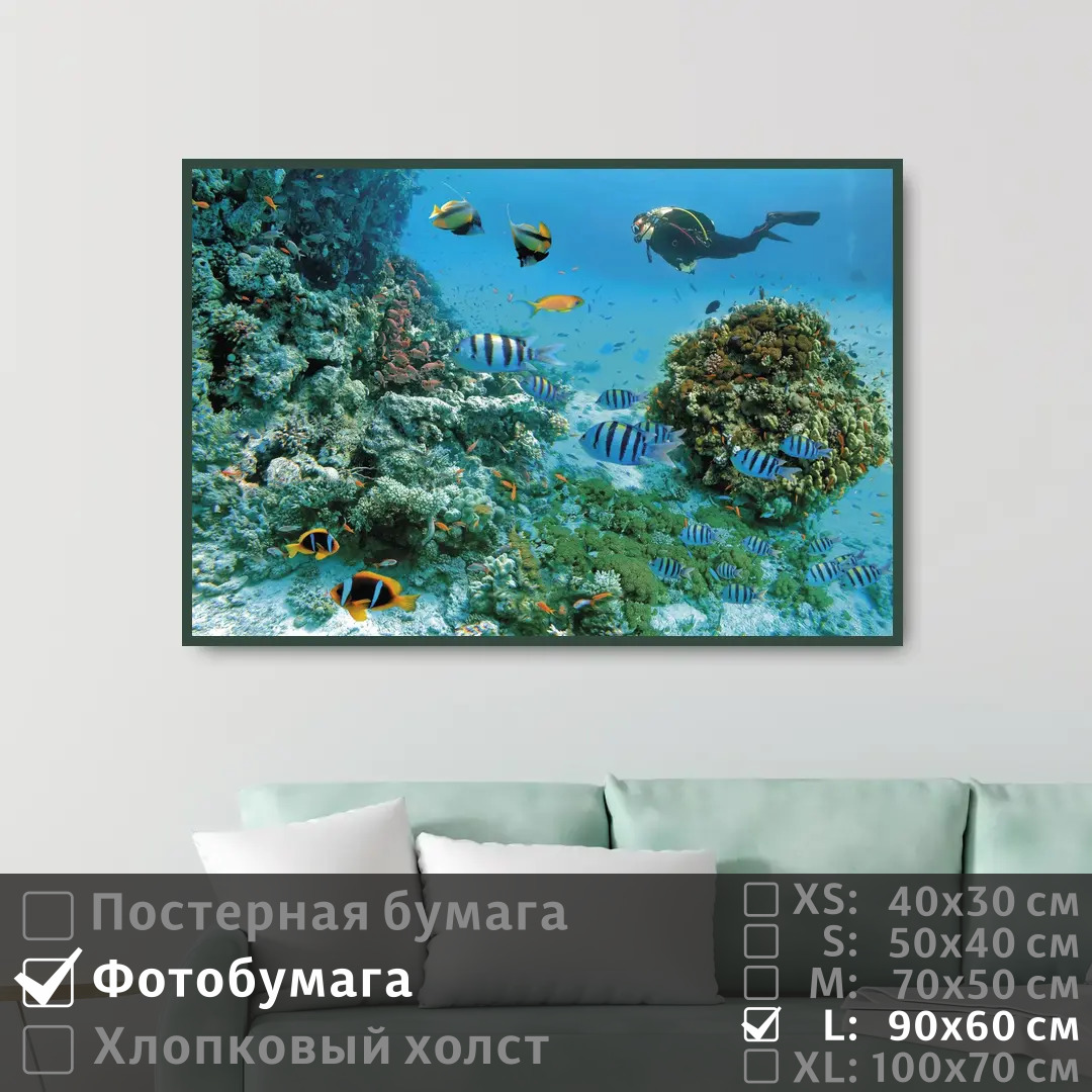 

Постер на фотобумаге ПолиЦентр Морские рыбы под водой с дайвером 90х60 см, МорскиеРыбыПодВодойСДайвером