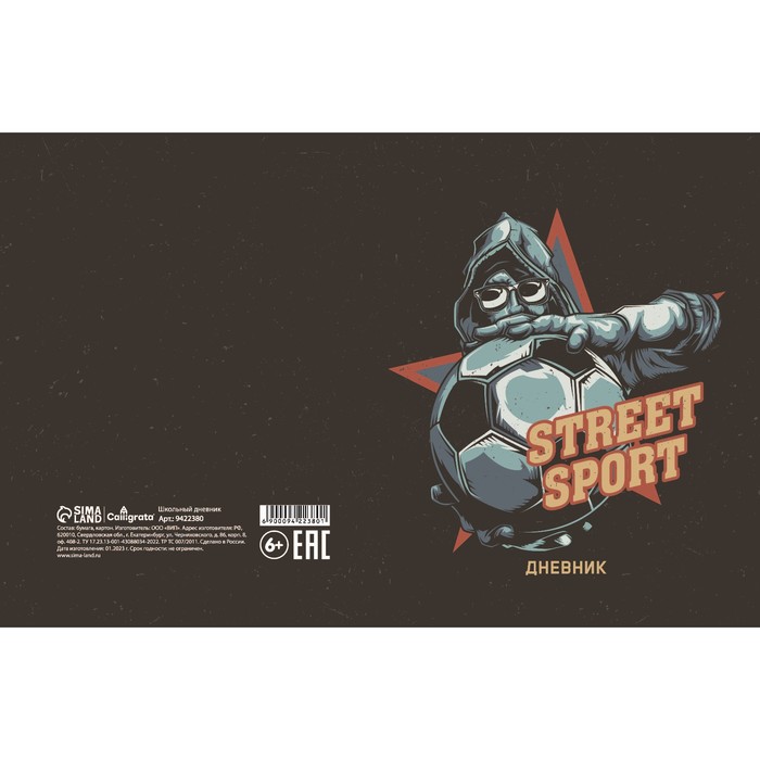 

Calligrata Дневник для 1-11 классов, Street Sport, твердая обложка 7БЦ, Разноцветный