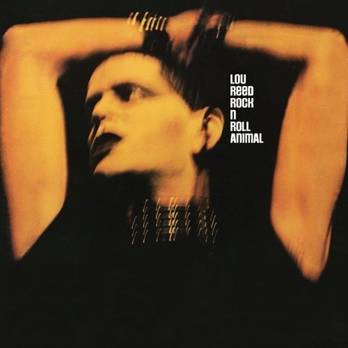 Lou Reed — Rock N Roll Animal