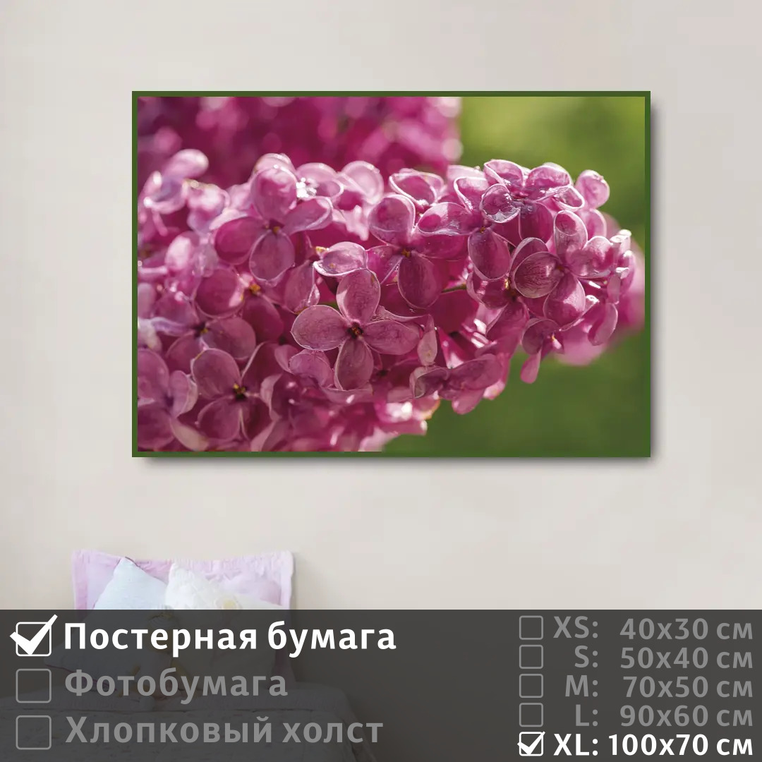 

Постер на стену ПолиЦентр Ветка сирени с каплями 100х70 см, ВеткаСирениСКаплями1