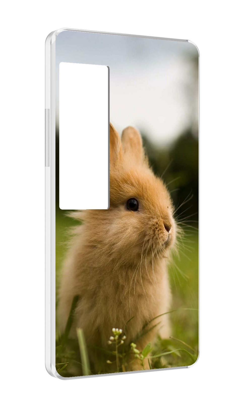 

Чехол MyPads Кролик для Meizu Pro 7 Plus, Прозрачный, Tocco