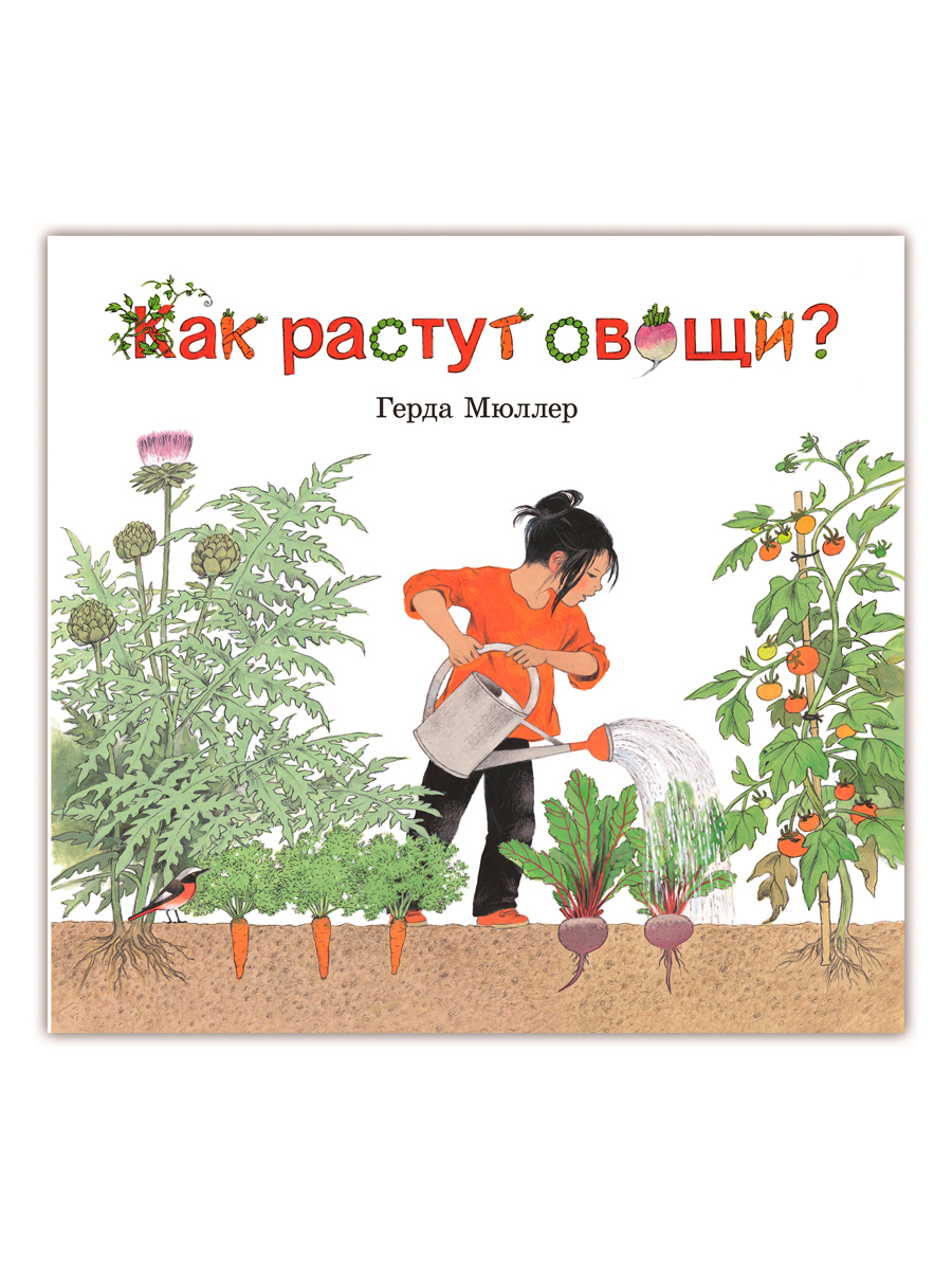 

Как растут овощи