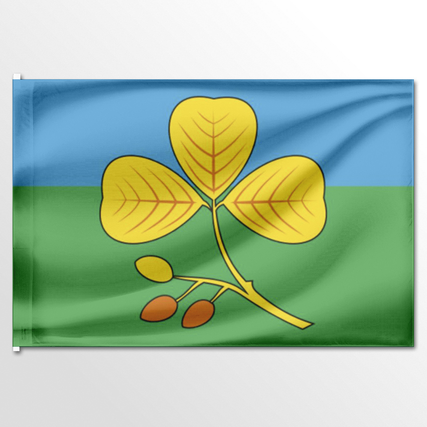 

Флаг ЦТП ФЕНИКС Елховского района 135x90 см, 2403-135x90