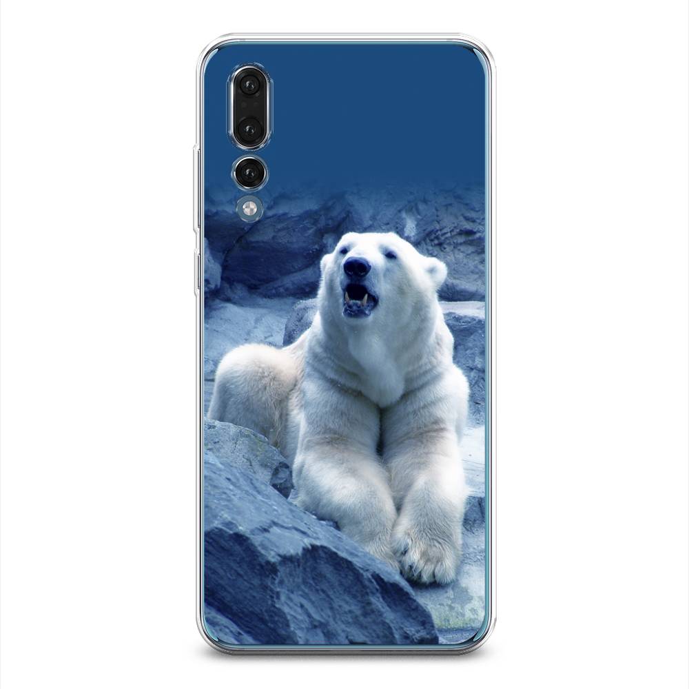 

Чехол на Huawei P20 Pro "Белый медведь", Голубой;белый, 65050-1