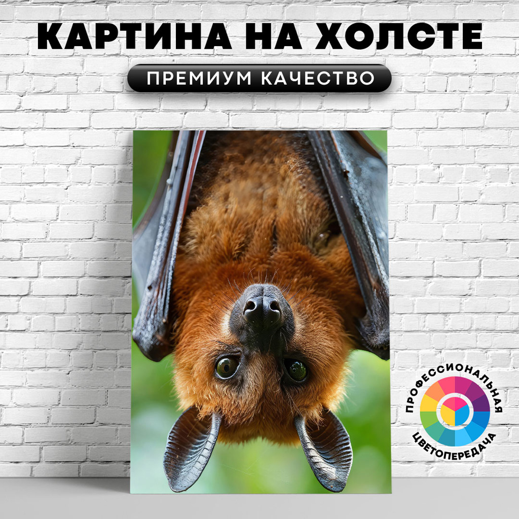 

Картина на холсте Летучая мышь верх ногами 60х45 см, ЖЛЕТУ