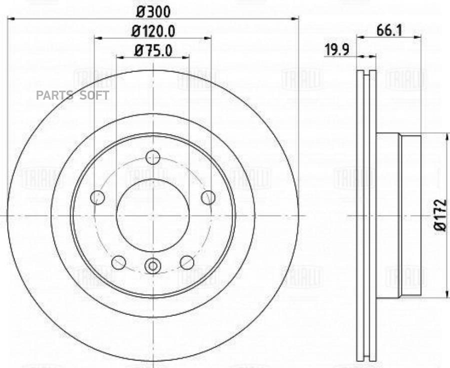 Диск Торм. Для А/М Bmw 3 (E90)05-)/ 1 (E81)04-) Зад. D300 Df261005 Trialli DF261005 100037889184