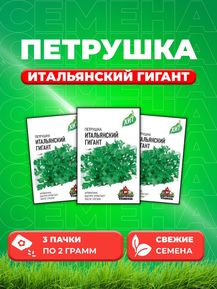 

Семена Петрушка Итальянский гигант 2 г ХИТ х3 (3уп)
