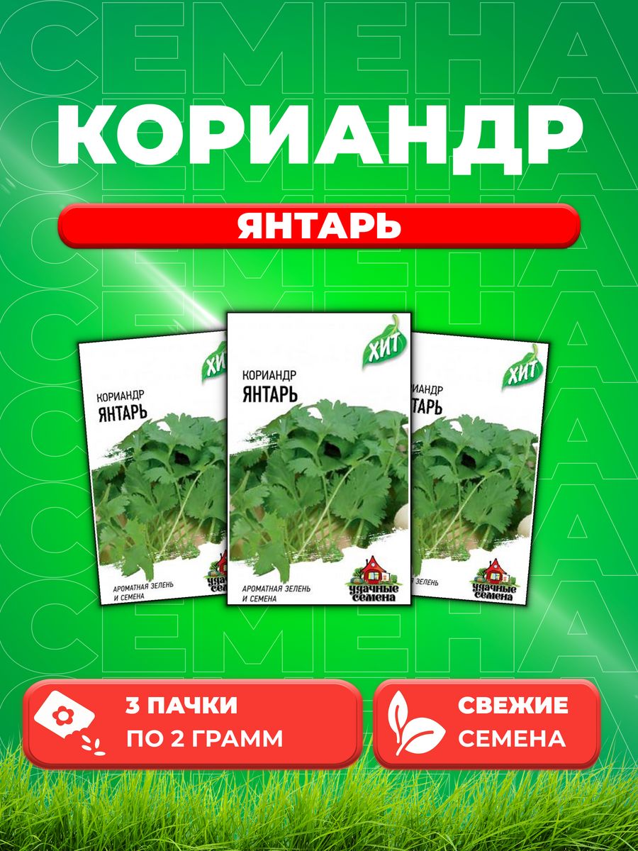 

Семена Кориандр Янтарь 2,0 г ХИТ х3 (3уп)