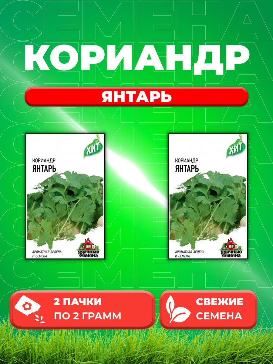 

Семена Кориандр Янтарь 2,0 г ХИТ х3 (2уп)