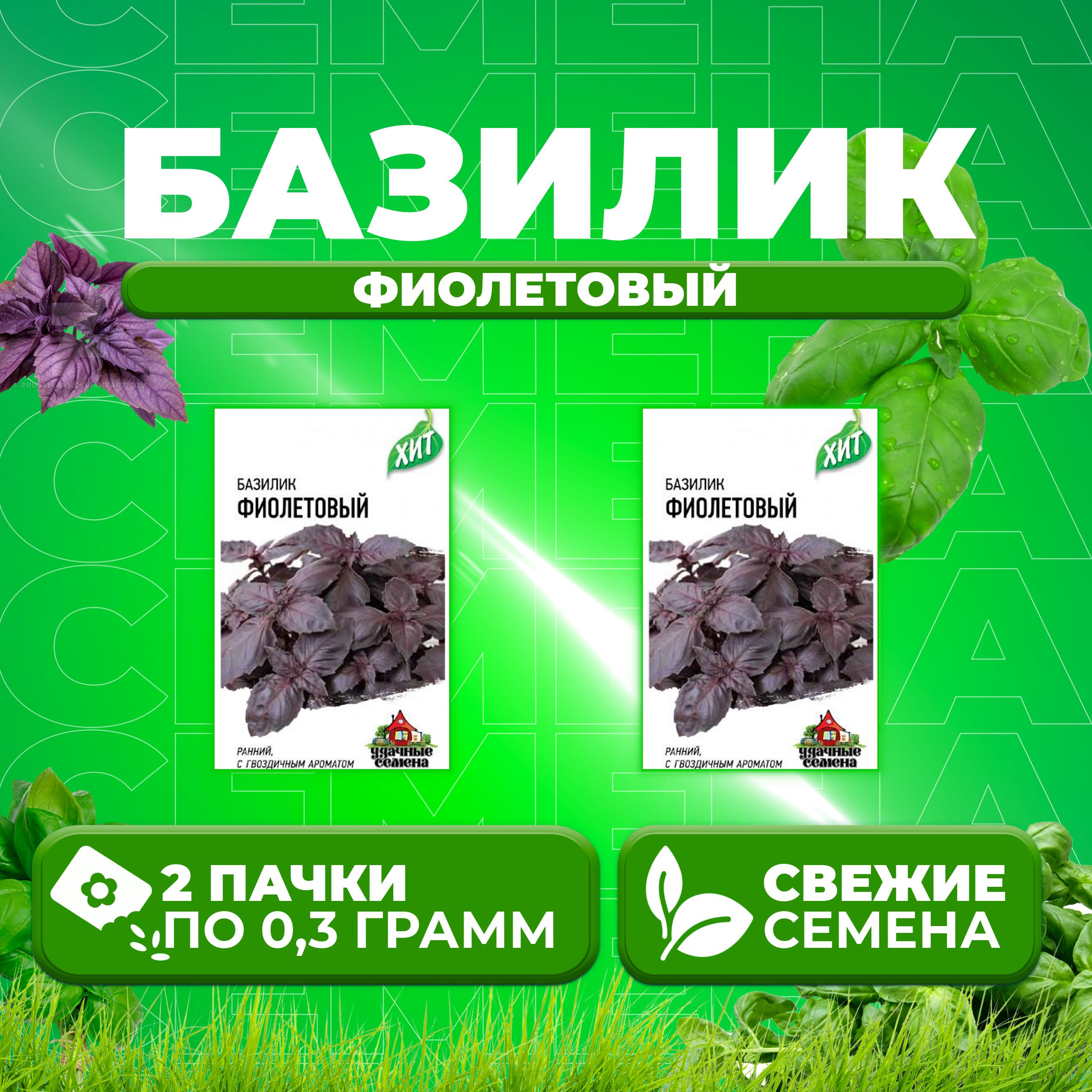 

Семена Базилик Фиолетовый, 0,3г, Удачные семена, серия ХИТ (2 уп)