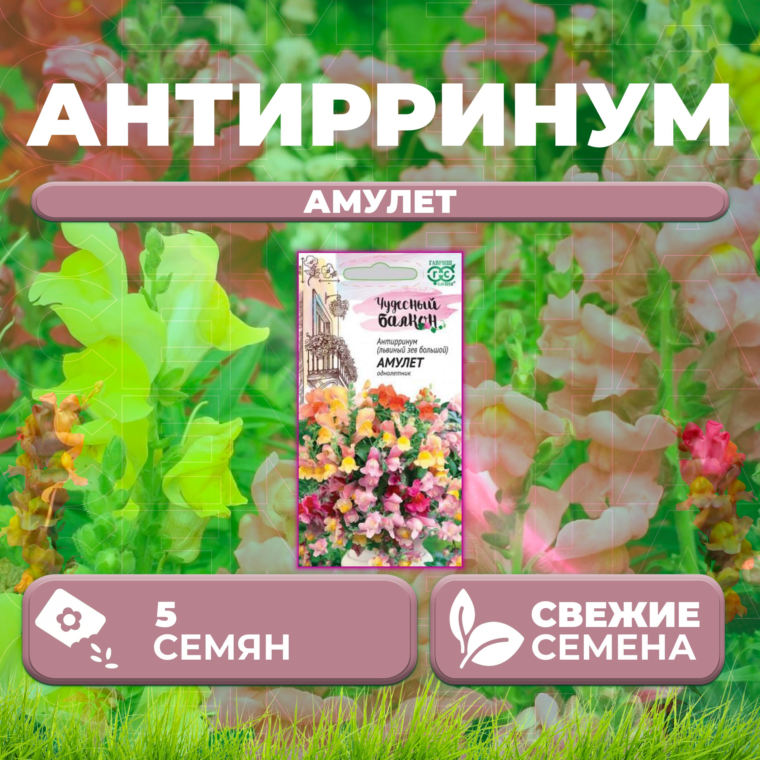 

Семена Антирринум (Львиный зев) Амулет, смесь, 5шт, Гавриш, Чудесный балкон (1 уп)