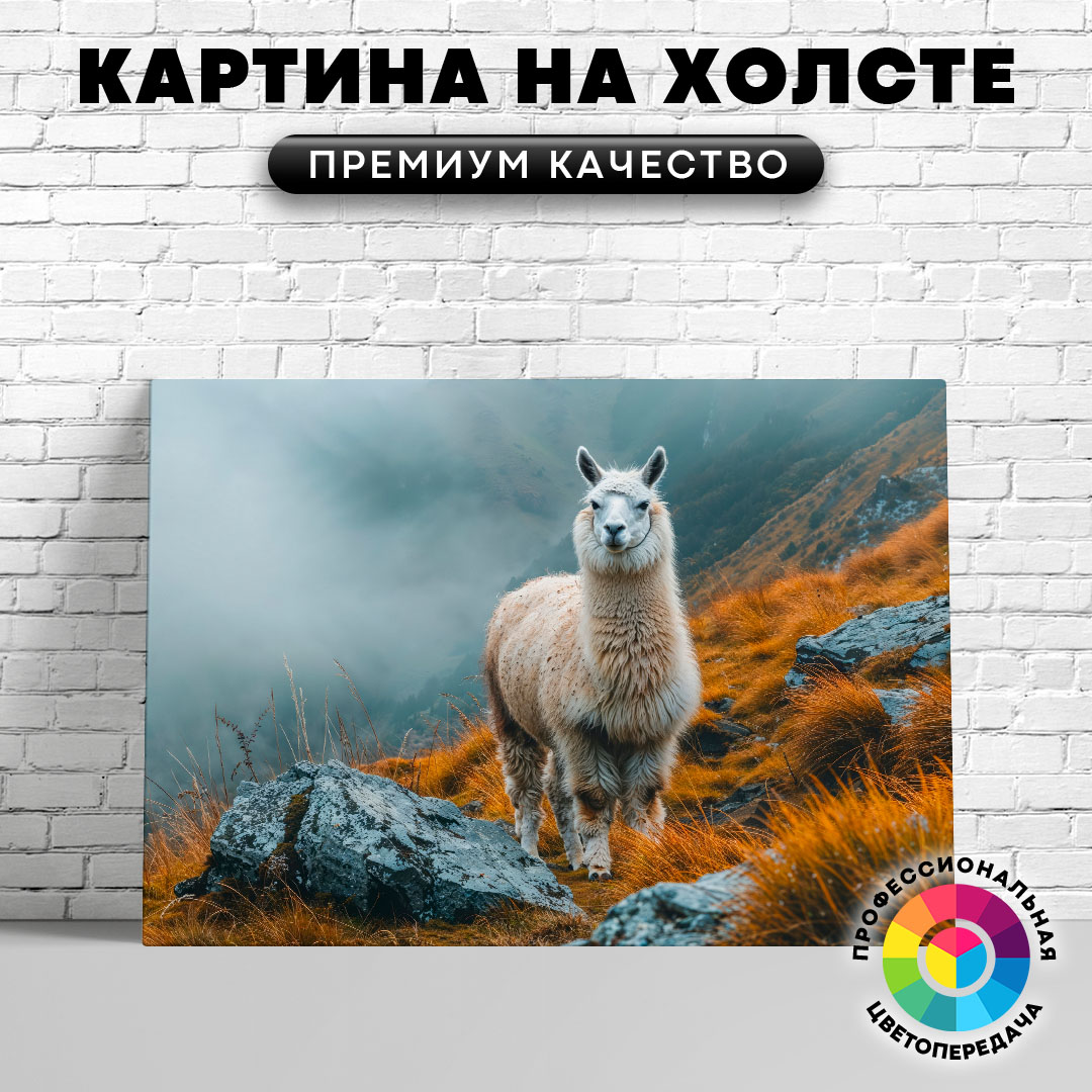 

Картина на холсте Лама в горах 60х45 см, ЖЛАМЫ