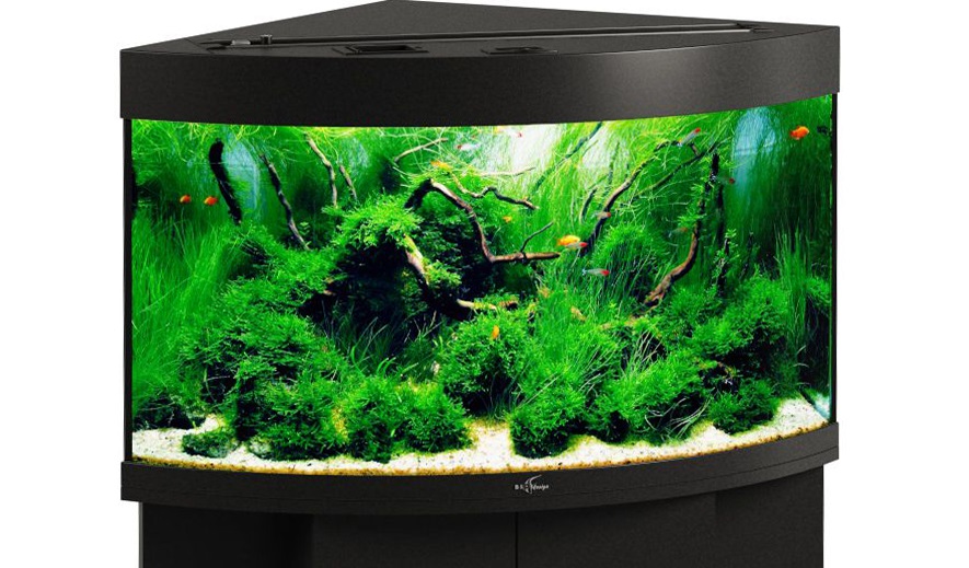 

Аквариум Biodesign Диарама 150, черный, 130л (без светильника)