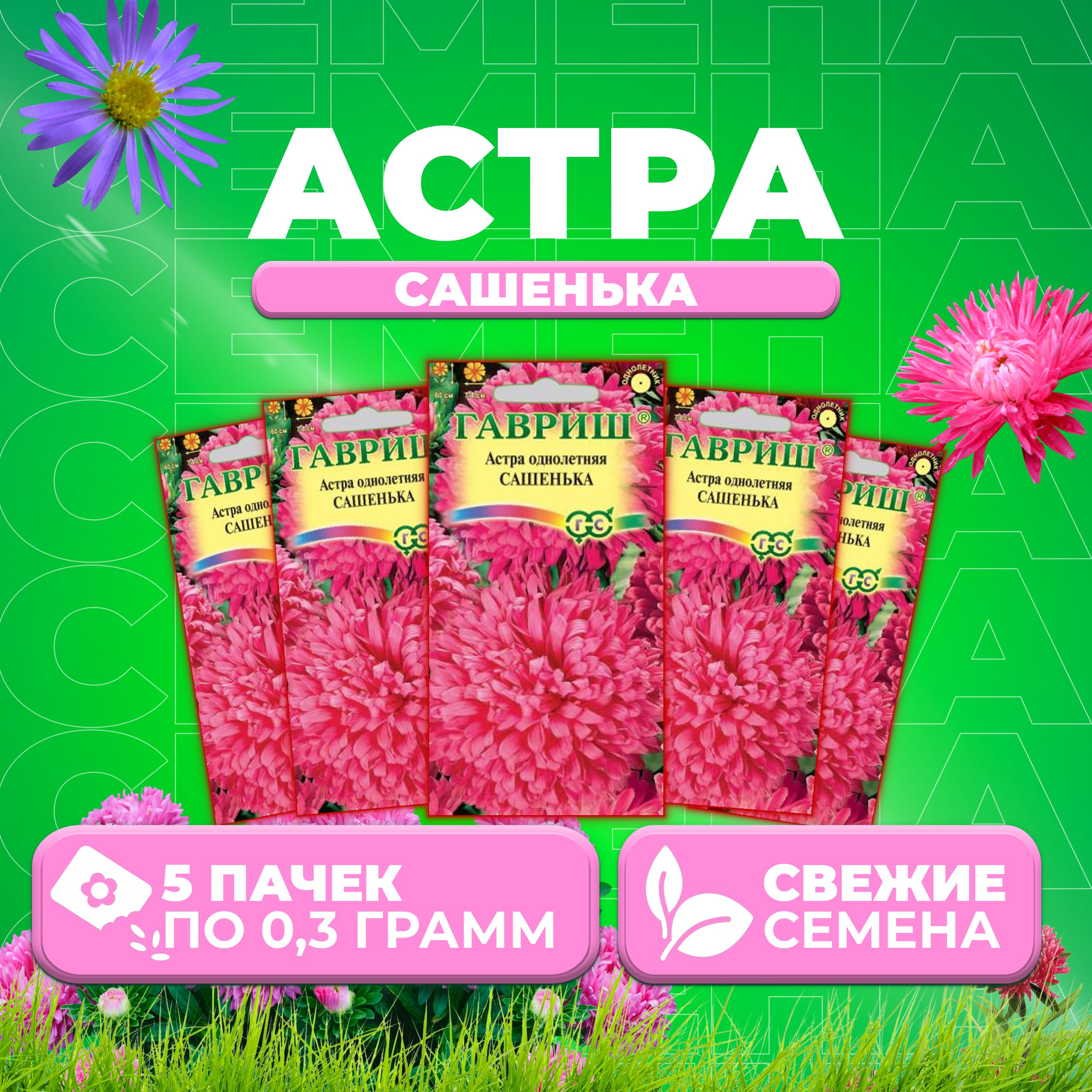 

Семена Астра Сашенька, воронежская, 0,3г, Гавриш, Цветочная коллекция (5 уп)