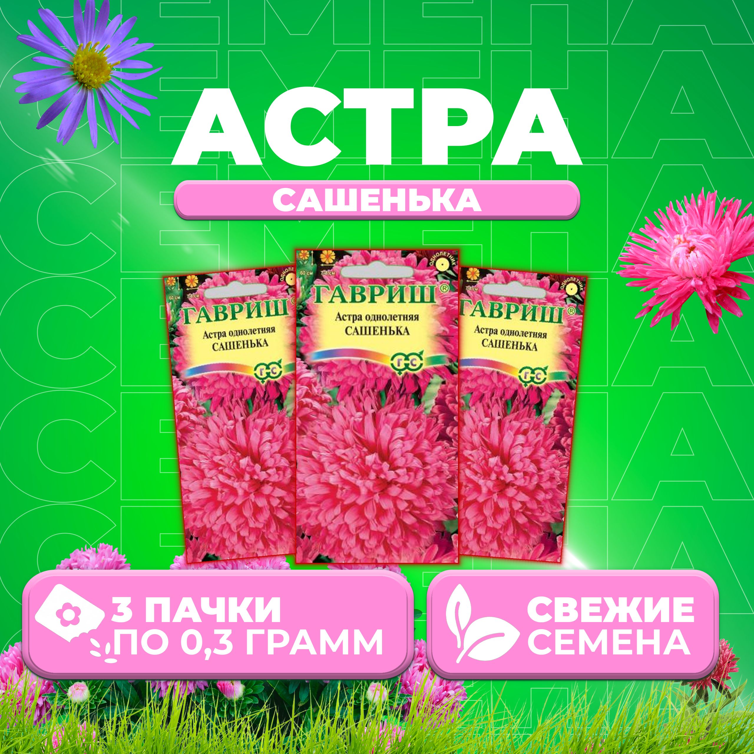

Семена Астра Сашенька, воронежская, 0,3г, Гавриш, Цветочная коллекция (3 уп)