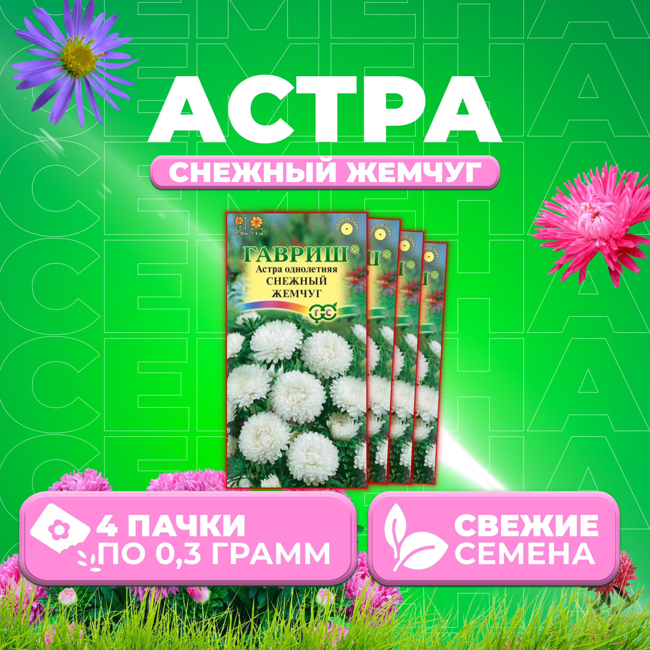 

Семена Астра Снежный жемчуг, карликовая, 0,3г, Гавриш, Цветочная коллекция (4 уп)